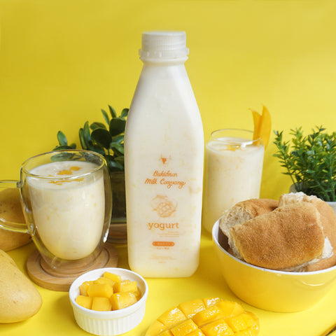 Bukidnon Milk Company Mango Yogurt 240ml