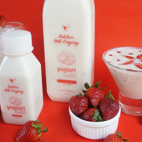 Bukidnon Milk Company Strawberry Yogurt 1L