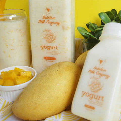 Bukidnon Milk Company Mango Yogurt 1L