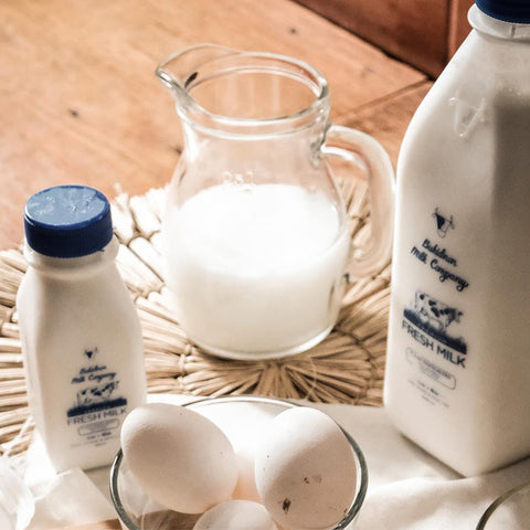 Bukidnon Milk Company Premium Whole Milk 240ml